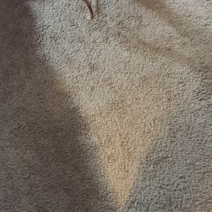 Meet your Posher, Dylan